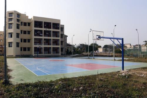 Basketball Court