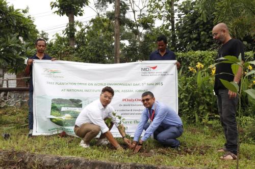 Sapling Plantation by NID Assam and SBI