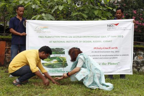 Sapling Plantation by SAO